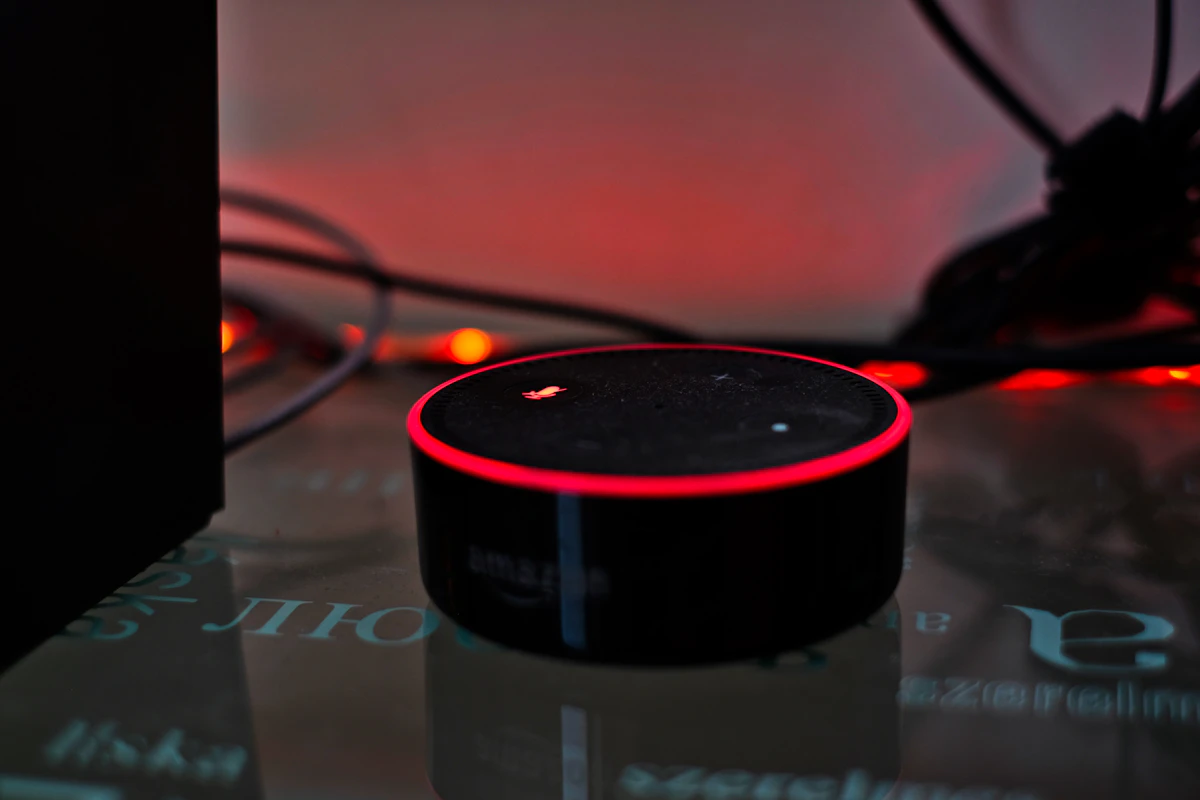 Privacidad Alexa y Google: Qué Escuchan en tu Casa