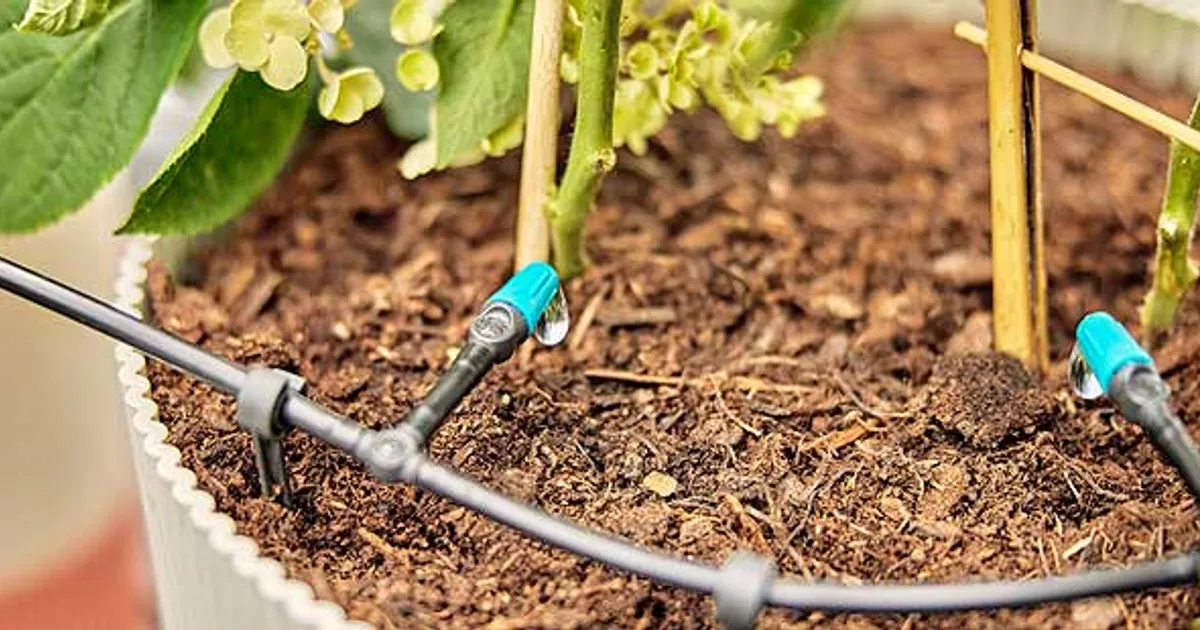 Riego Inteligente: Cuidá tus Plantas en Vacaciones